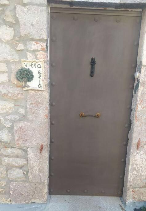 ελιά παραδοσιάκο σπίτι στην Vila Amfiklia