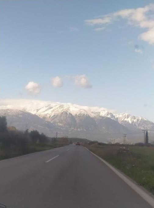 ελιά παραδοσιάκο σπίτι στην