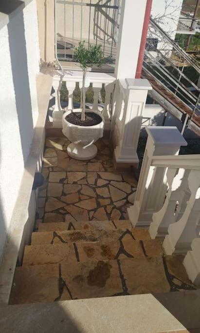 Villa ελιά παραδοσιάκο σπίτι στην Amfikleia