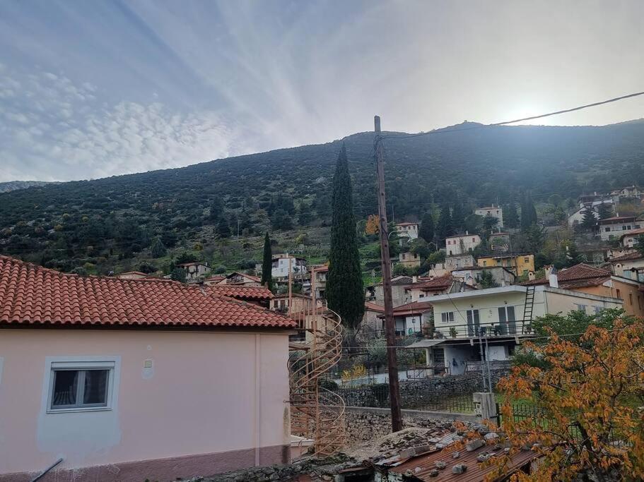 ελιά παραδοσιάκο σπίτι στην Villa *