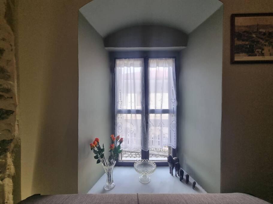 ελιά παραδοσιάκο σπίτι στην Villa