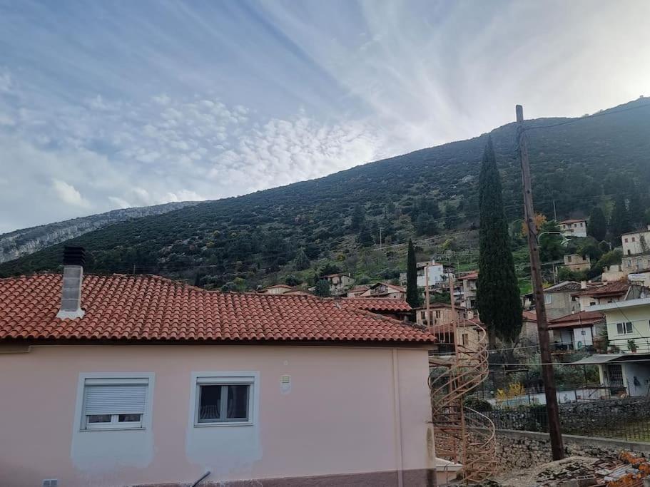 ελιά παραδοσιάκο σπίτι στην Villa